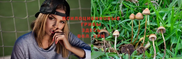 не бодяженный Елизово