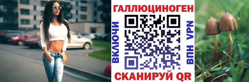 где купить наркоту  Михайлов  МЕГА зеркало  Галлюциногенные грибы прущие грибы 